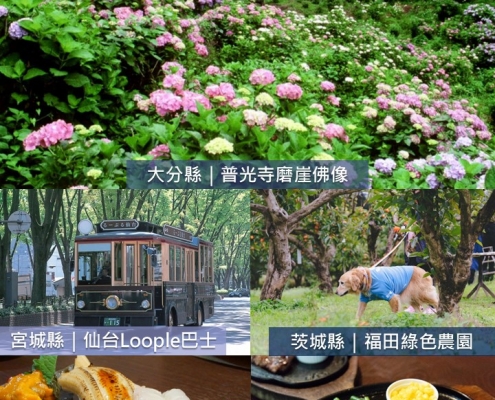 2026年6月 Travelnews封面