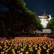 竹燈