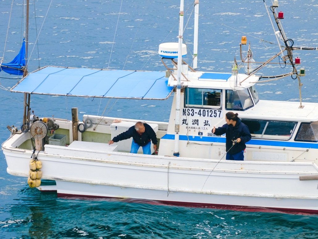 釣魚 3