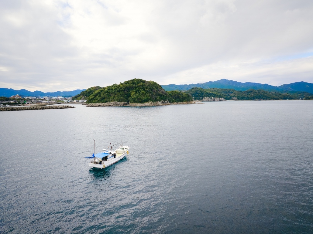 釣魚 4
